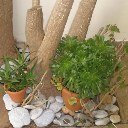 Aigialis & Studios Apartment Kokkini Hani